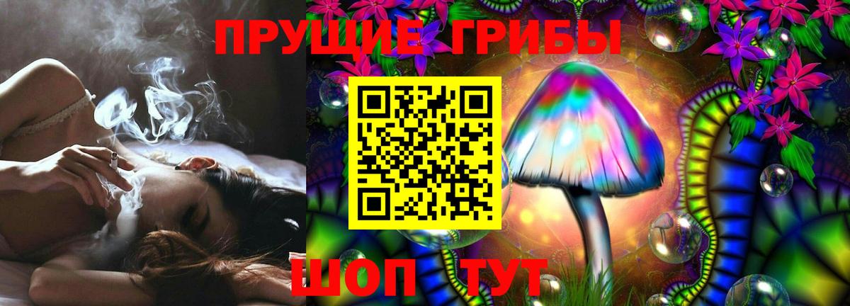 Галлюциногенные грибы Psilocybine cubensis Феодосия